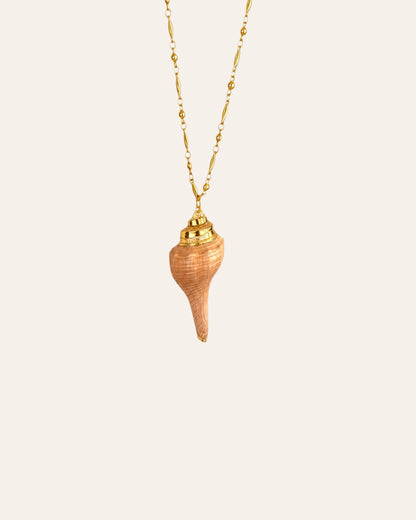 Nereid shell