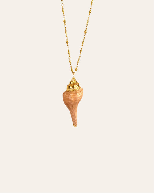 Nereid shell