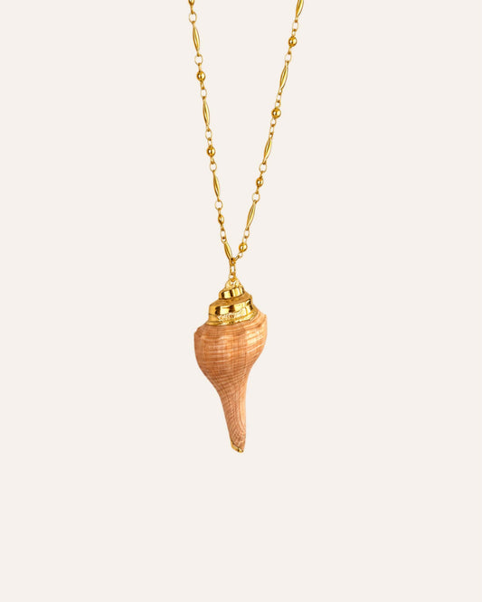 Nereid shell
