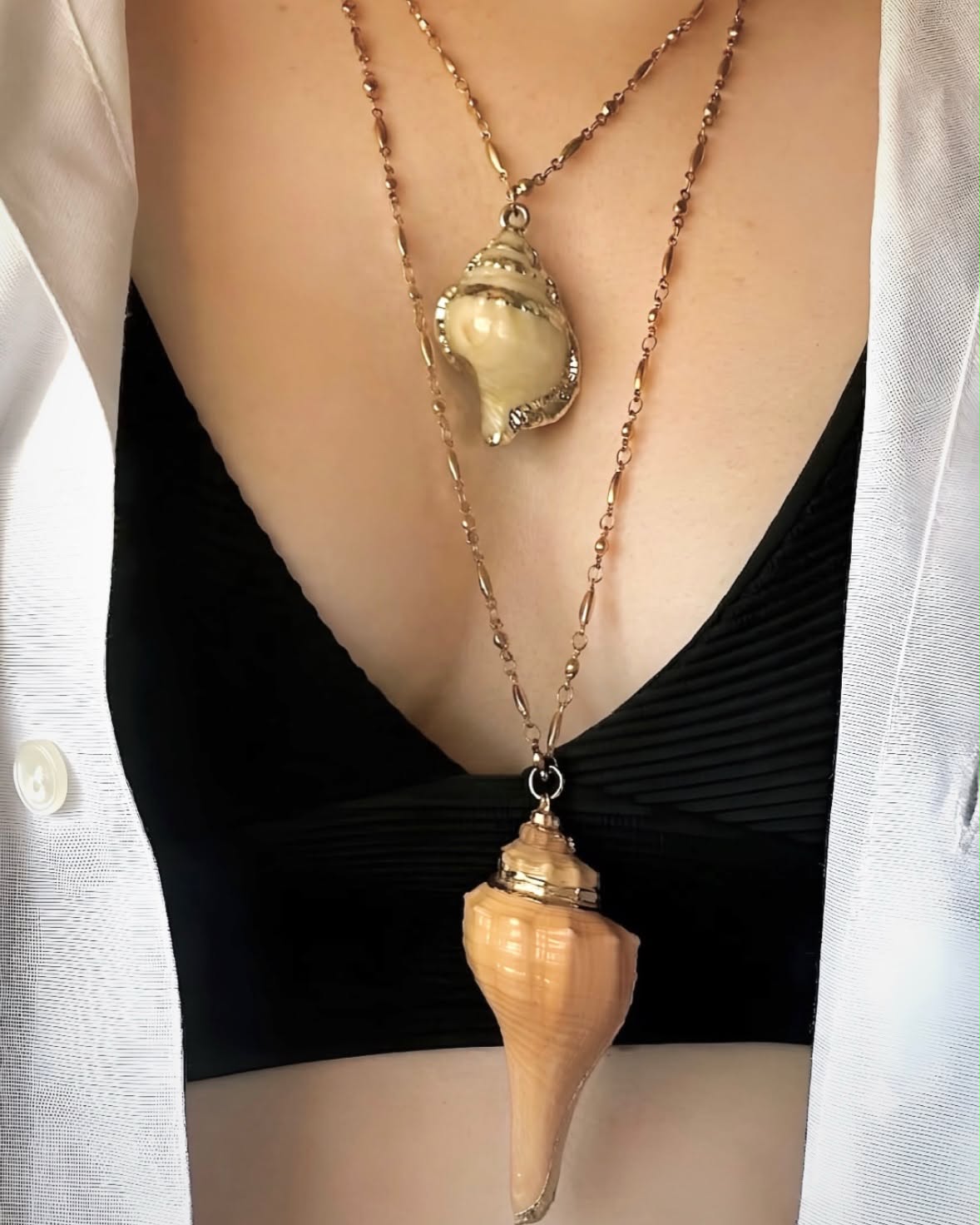 Nereid shell
