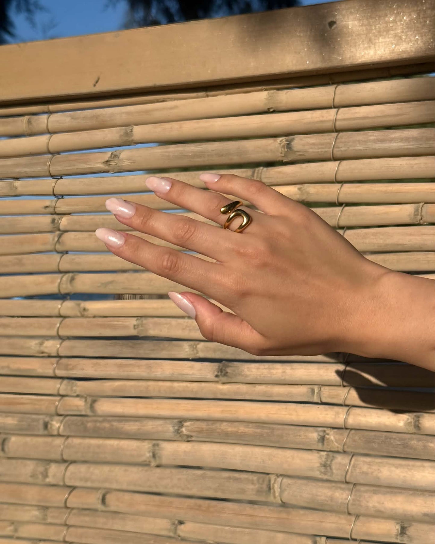 Ivy ring